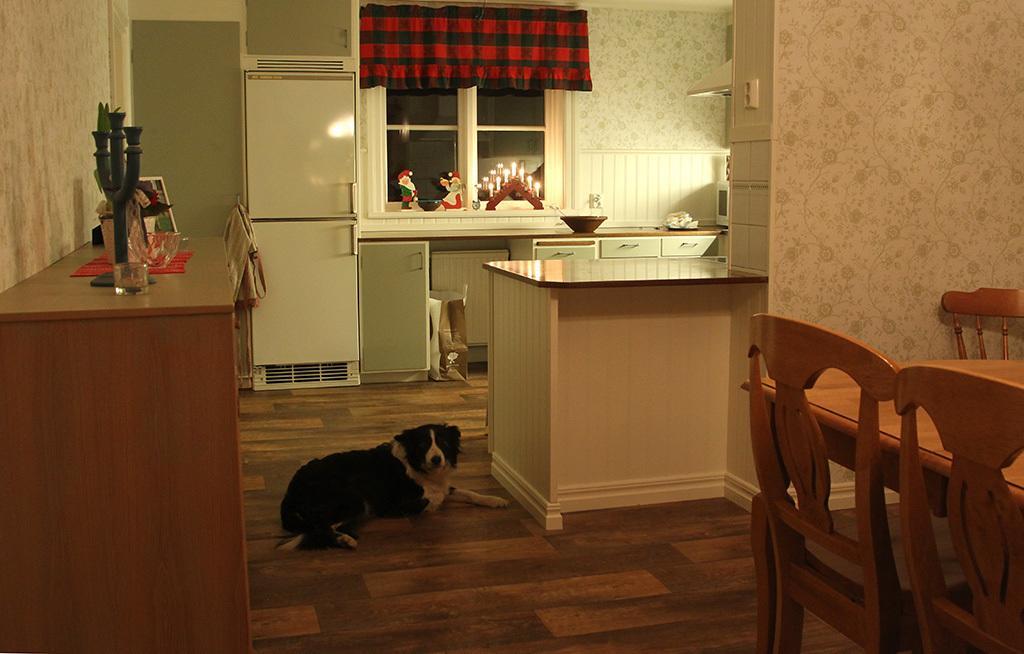 Hallebergs Bed&Breakfast Скара Екстер'єр фото